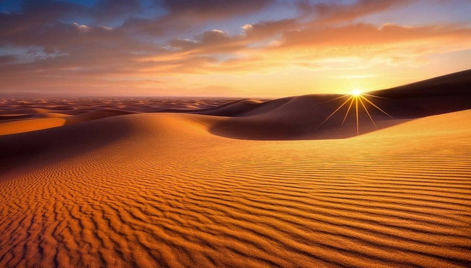 gallery/sun rise